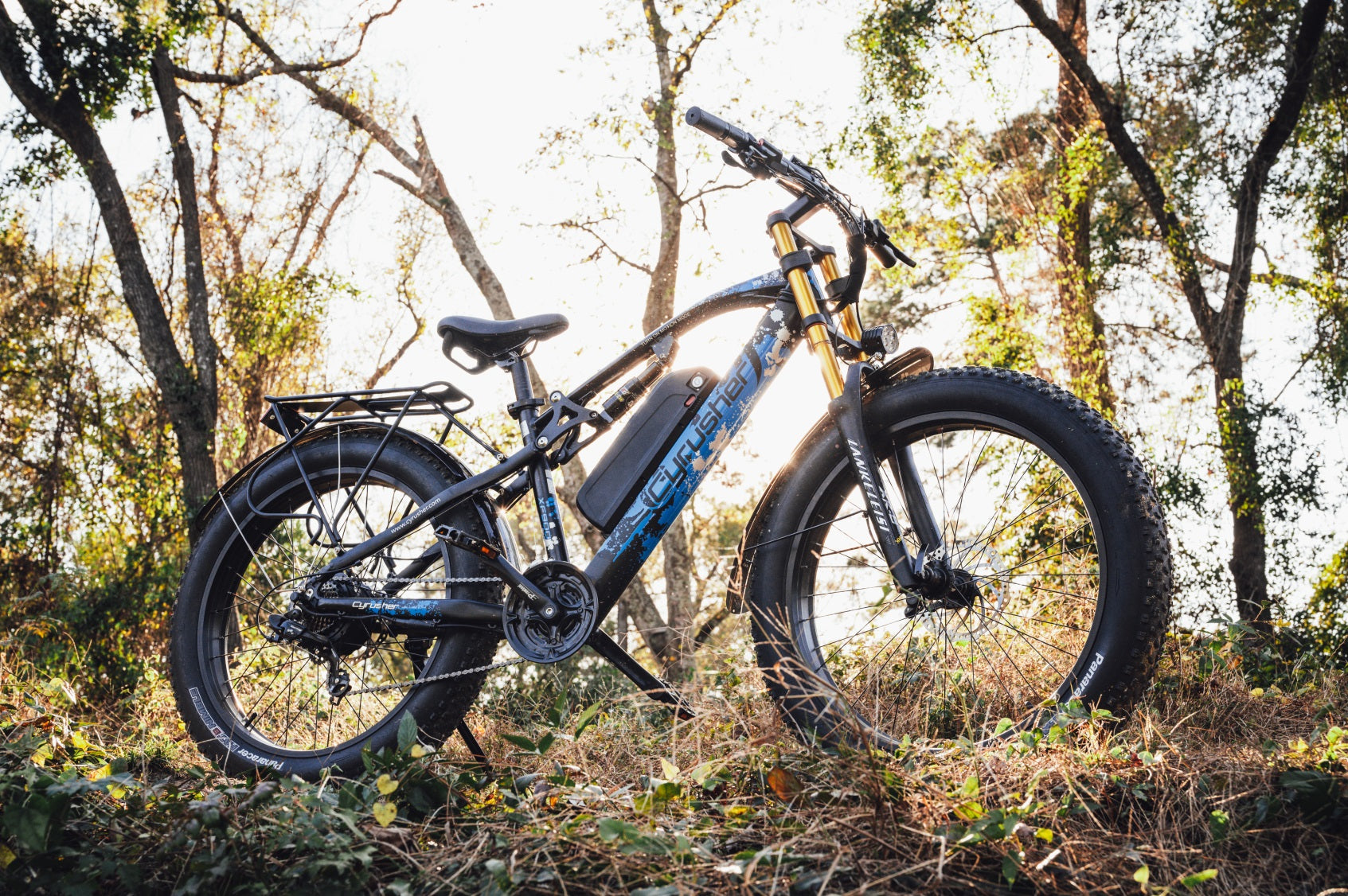 Pedalease big cat fat bike hot sale