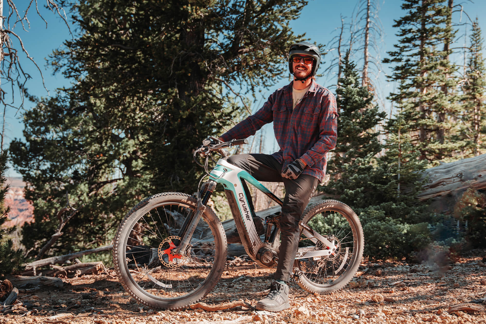 Electric Mountain Bikes