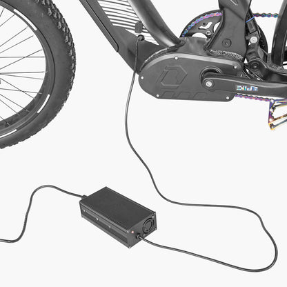 52V 5A fast charger for Ovia&Ranger&Trax