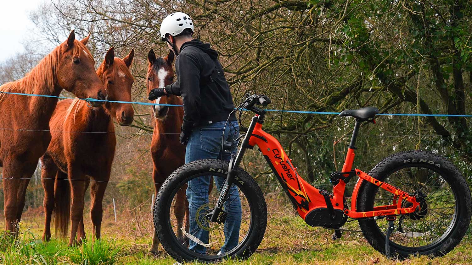 Tunturi electric online bike