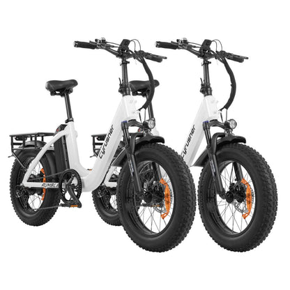 Rumble E-Bike Bundle Sale