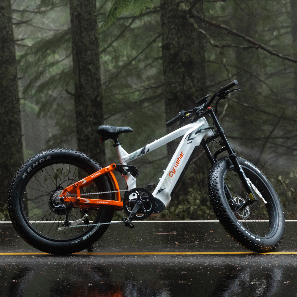 Ranger Mountain All Terrain Air shock Ebike