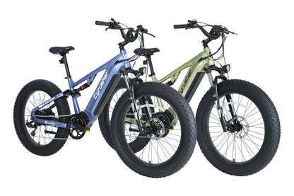 Rover E-Bike Bundle Sale