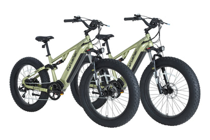 Rover E-Bike Bundle Sale